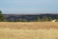 0000 Neck Yoke Rd Tbd Neck Yoke Rd Rapid City, SD 57702