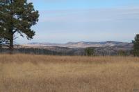 0000 Neck Yoke Rd Tbd Neck Yoke Rd Rapid City, SD 57702
