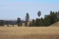 0000 Neck Yoke Rd Tbd Neck Yoke Rd Rapid City, SD 57702