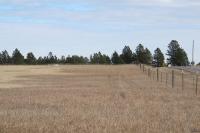 0000 Neck Yoke Rd Tbd Neck Yoke Rd Rapid City, SD 57702