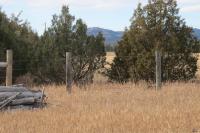 0000 Neck Yoke Rd Tbd Neck Yoke Rd Rapid City, SD 57702
