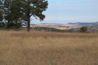 0000 Neck Yoke Rd Tbd Neck Yoke Rd Rapid City, SD 57702