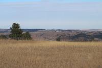 0000 Neck Yoke Rd Tbd Neck Yoke Rd Rapid City, SD 57702