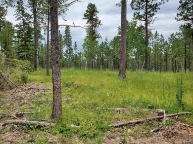 TBD Other Lot 3 Block 3 Lofty Pines Court Lead, SD 57754