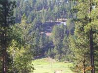 12356 Diamond Dale Pl Nemo/benchmark Road, Nemo, SD 57759