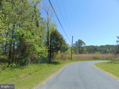 0 Hodson White Road Deal Island, MD 21821