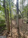 5400 Mollys Glen Mineral, VA 23117