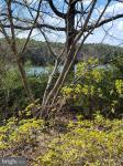 922 Skipjack Road Kinsale, VA 22488
