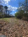922 Skipjack Road Kinsale, VA 22488