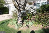 227 Smithfield Way Fredericksburg, VA 22406