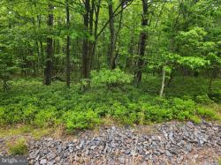 LV Lot 294 Redbud Drive Hazle Township, PA 18202