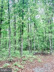Lot 5 Independence Road Unionville, VA 22567