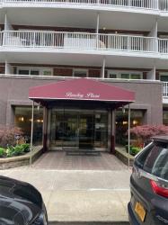 110-20 71St Road 219 Forest Hills, NY 11375