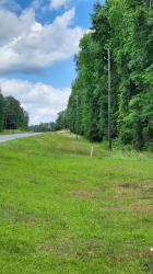 29.75 Acres Us Hwy 80 Knoxville, GA 31050