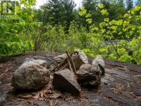 12654 LANARK ROAD Greater Madawaska, ON K0J1H0