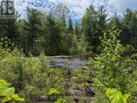12654 LANARK ROAD Greater Madawaska, ON K0J1H0