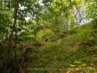 12654 LANARK ROAD Greater Madawaska, ON K0J1H0