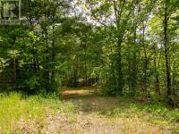 12654 LANARK ROAD Greater Madawaska, ON K0J1H0