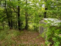 12654 LANARK ROAD Greater Madawaska, ON K0J1H0