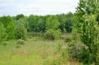 Ptlt25 Principale Parts 4 & 7 Street, Wendover, Ontario K0A3K0