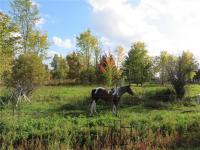 5118 Concession 11 Road, Fournier, Ontario K0B1G0