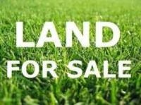 6556 County Rd 29 Road, Mississippi Mills, Ontario K0A1A0