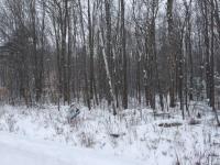 C11l23 Ettyville Road, Bourget, Ontario K0A1E0
