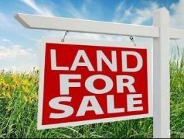 6556 County Rd 29 Road, Mississippi Mills, Ontario K0A1A0