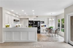 1706 Avenida Crescenta San Clemente, CA 92672