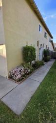 14167 Caminito Quevedo San Diego, CA 92129