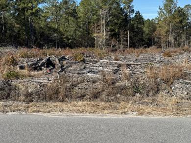940 Fauling Road Saint Stephen, SC 29479