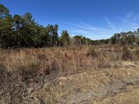 940 Fauling Road Saint Stephen, SC 29479
