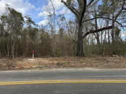 5510 Mauss Hill Road Adams Run, SC 29426