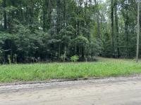 0 Michelle Lane Johns Island, SC 29455