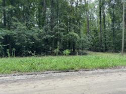 0 Michelle Lane Johns Island, SC 29455
