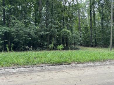 0 Michelle Lane Johns Island, SC 29455