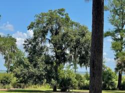 10 The Horseshoe Ladys Island, SC 29907