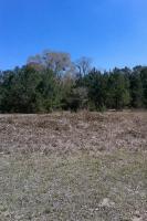 Sheep Island, Summerville, SC 29486
