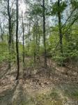 5400 Mollys Glen Mineral, VA 23117
