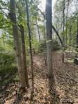 5400 Mollys Glen Mineral, VA 23117