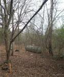 2376 Hickory Creek Road Louisa, VA 23093