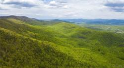 24 Acres near Rich Patch Rd Covington, VA 24426