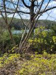922 Skipjack Road Sandy Point, VA 22488