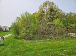 Lot 8 3Rd Street Pittsville, WI 54466