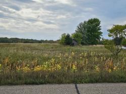 2.8 ACRES Otter Road Arpin, WI 54460