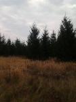 76 Acres MOL Joe Snow Road, Merrill, WI 54452