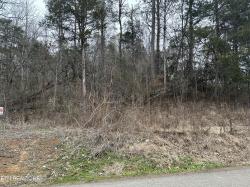 Lot 29 Lower English Creek Rd Newport, TN 37821