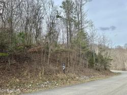 Lot 520 Mystic Star Drive New Tazewell, TN 37825