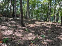 Lot #14 Demory Rd Lafollette, TN 37766