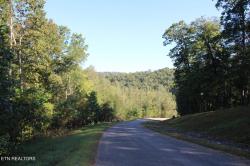 Lot 125 Old Hearth Lafollette, TN 37766